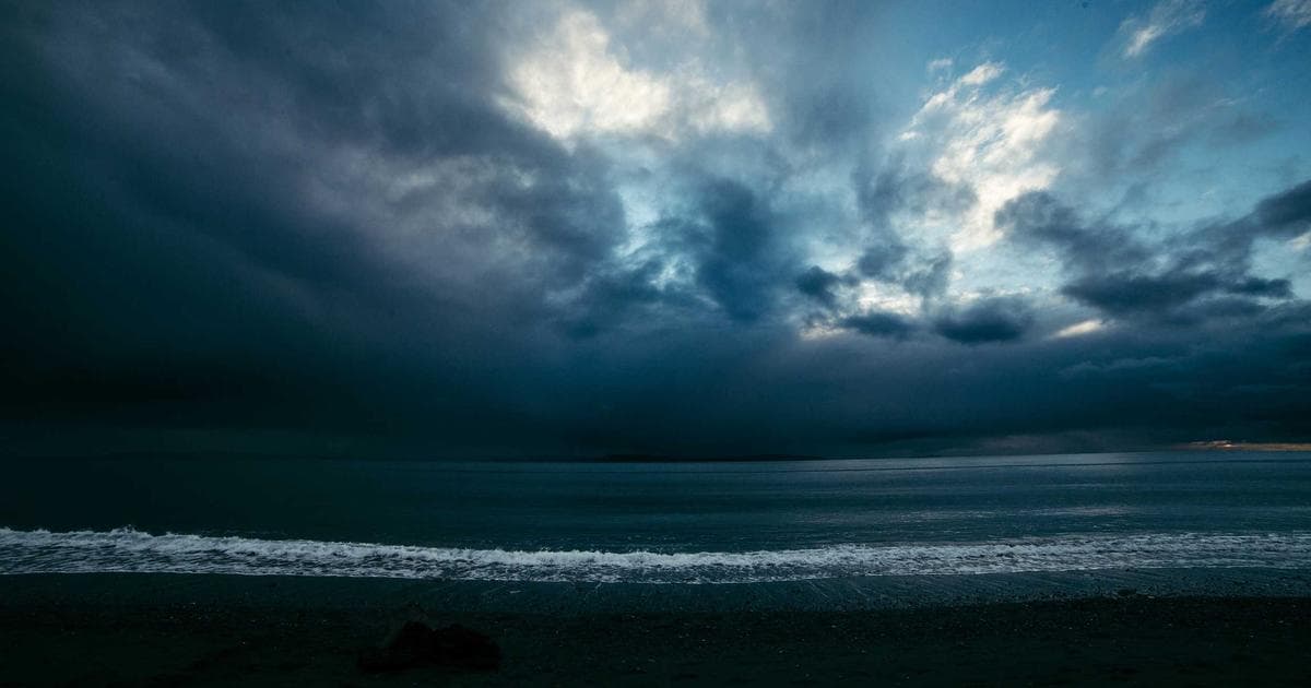 Təlim: İqlim Diplomatiyası və COP danışıqları