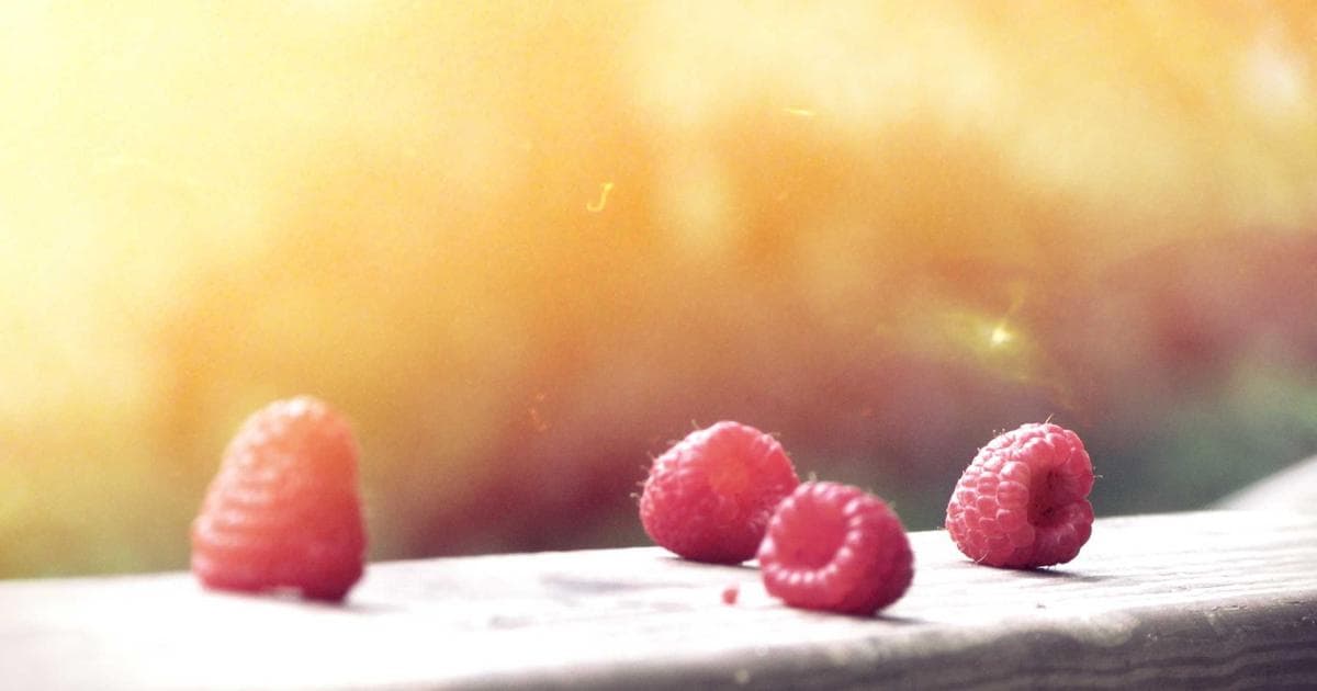 Azərbaycan güləşçisi dünya çempionatında qızıl medal qazandı