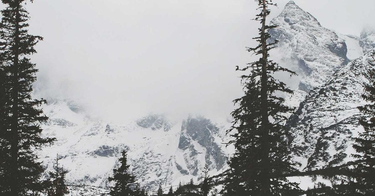 Bakı Fond Birjasında yeni rekord: gündəlik dövriyyə 50 milyon manat