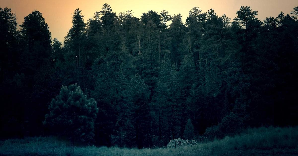 Türkiyə-Ermənistan normallaşma prosesində irəliləyiş